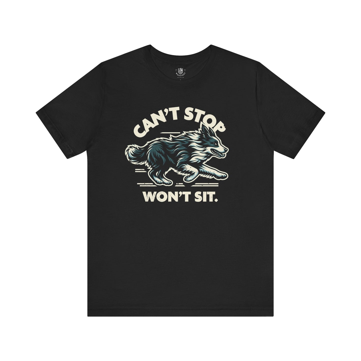 Border Collie – Can’t Stop, Won’t Sit.