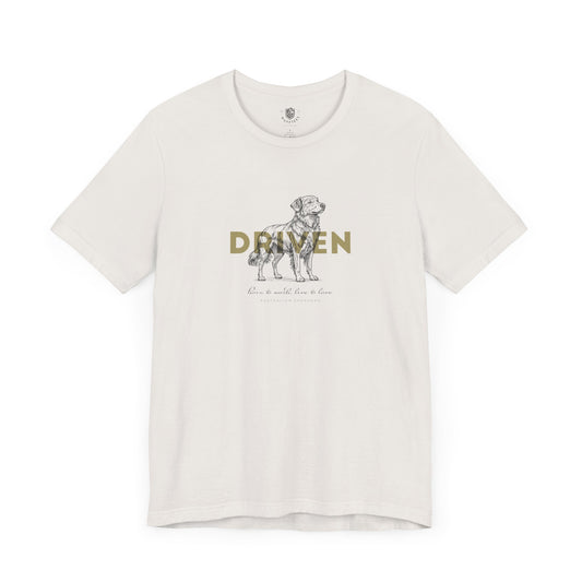 Australian Shepherd – Driven