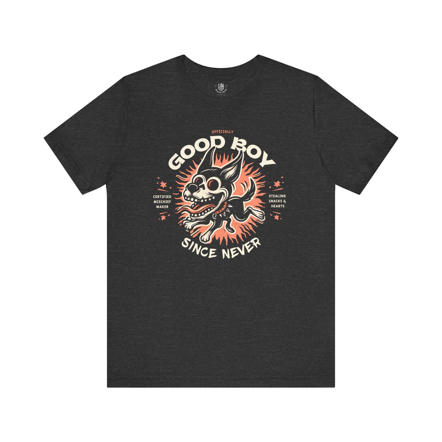 Officially Good Boy, Since Never