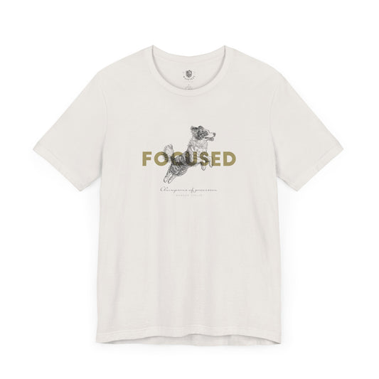 Border Collie – Focused