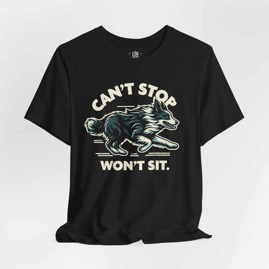 Border Collie – Can’t Stop, Won’t Sit.