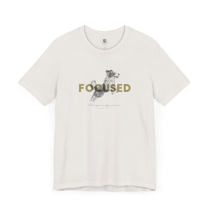 Border Collie – Focused