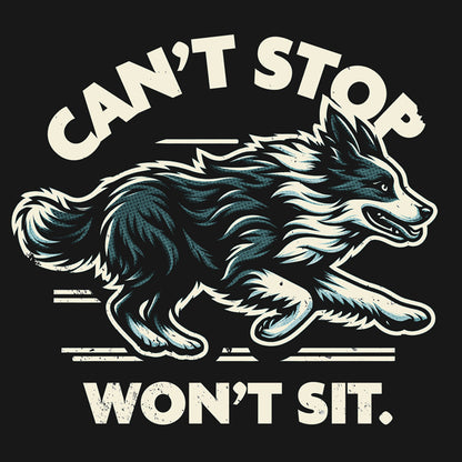Border Collie – Can’t Stop, Won’t Sit.