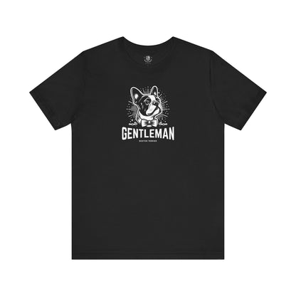 Boston Terrier – Gentleman