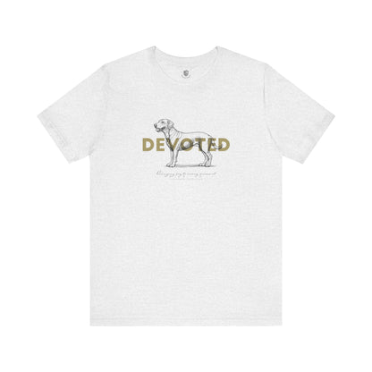 Labrador Retriever – Devoted