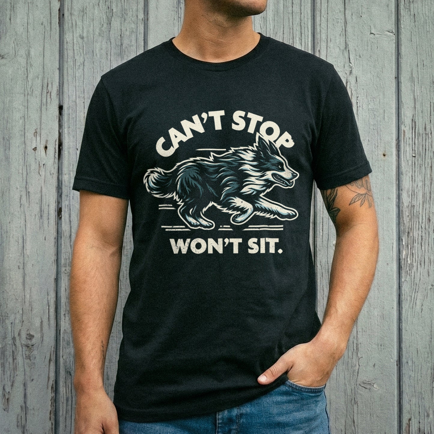 Border Collie – Can’t Stop, Won’t Sit.