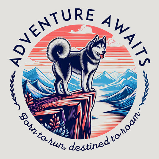 Adventure Awaits