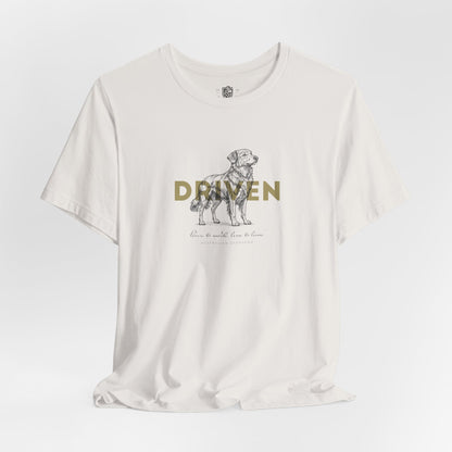 Australian Shepherd – Driven