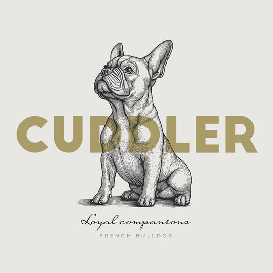 French Bulldog – Cuddler