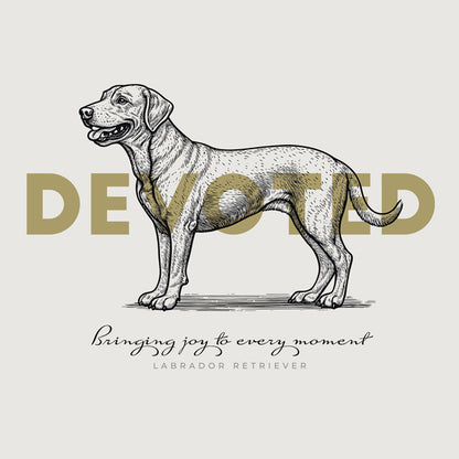 Labrador Retriever – Devoted