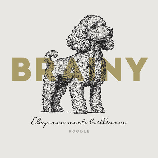 Poodle – Brainy